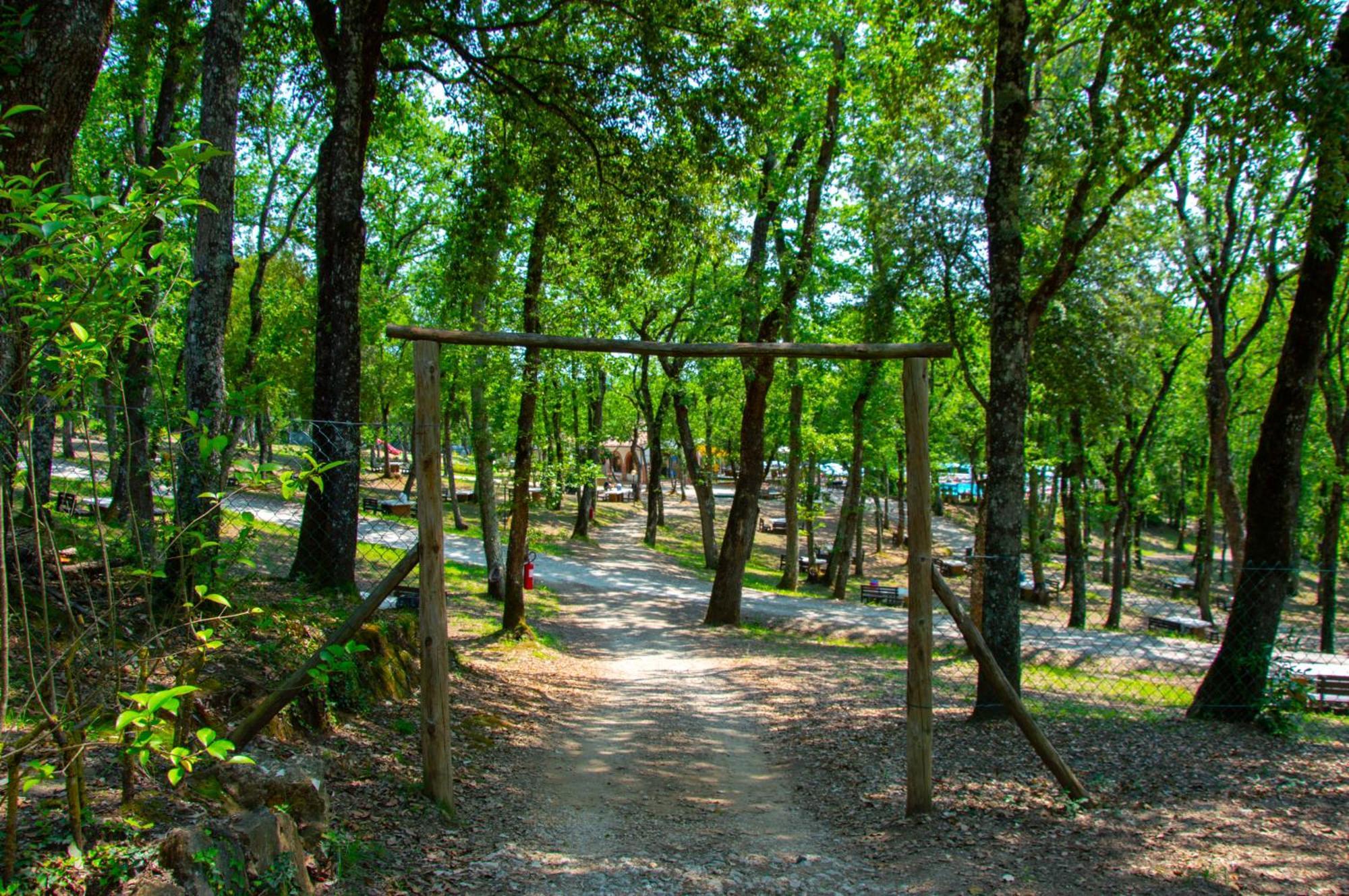 Luxor Chianti Glamping Village Castellina in Chianti Ngoại thất bức ảnh